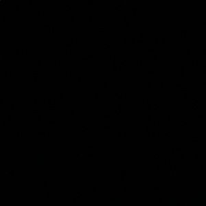 Meet your Posher, Antonio